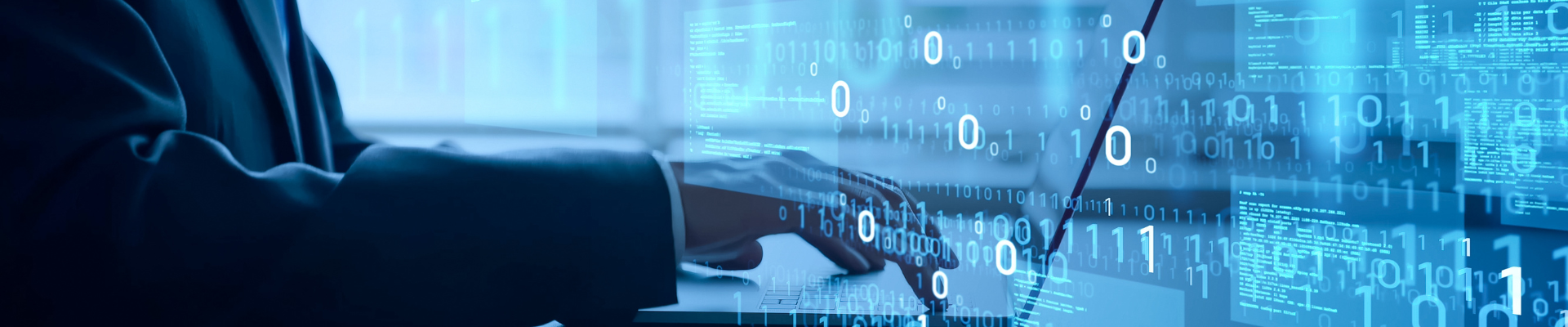 application maintenance services